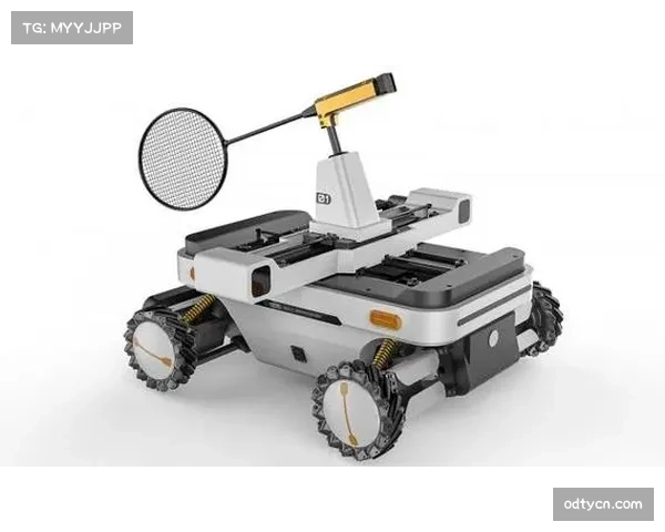 羽毛球技战术分析结合专家知识 人工智能输出结果更贴合实战